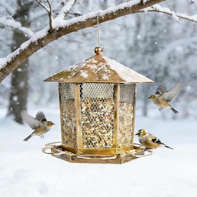 Wild Birds Feeder, Finch Bird Feeder - Image 5