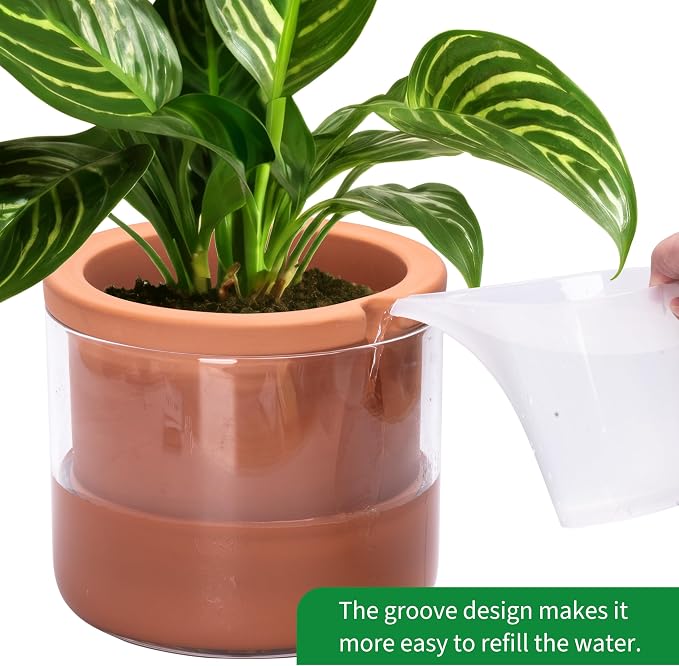 Phoenix Vine 8 Inch Self Watering Planter Pots, Design White Terracotta Pots - Image 4