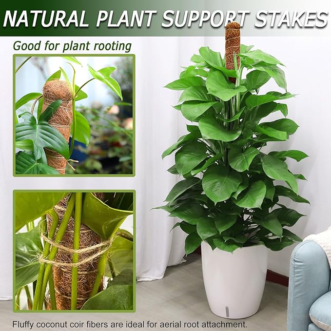 Soupiar 2 Pack 60'' Bendable Moss Pole - Image 6