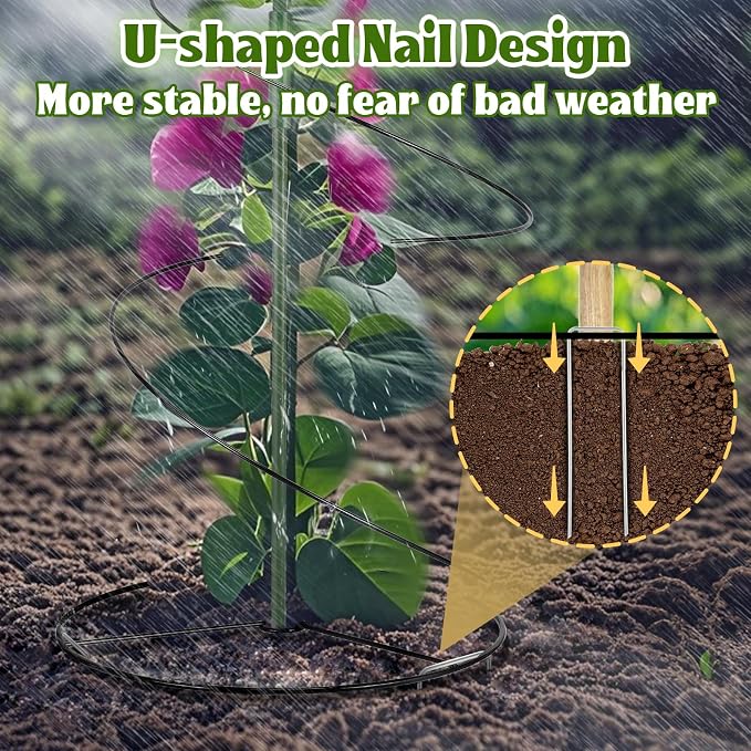 Pea Trellis Green Bean Trellis for Garden - Image 2