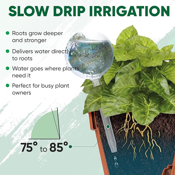Clear Plant Watering Globes Set of 6 - Image 7