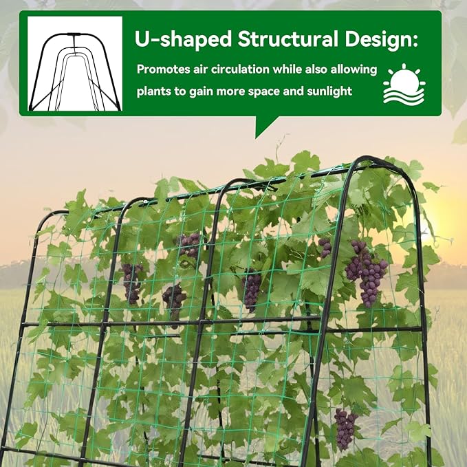 Cucumber Trellis - Image 5