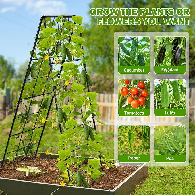 2 Pack 50" Tall A Frame Trellis - Image 8