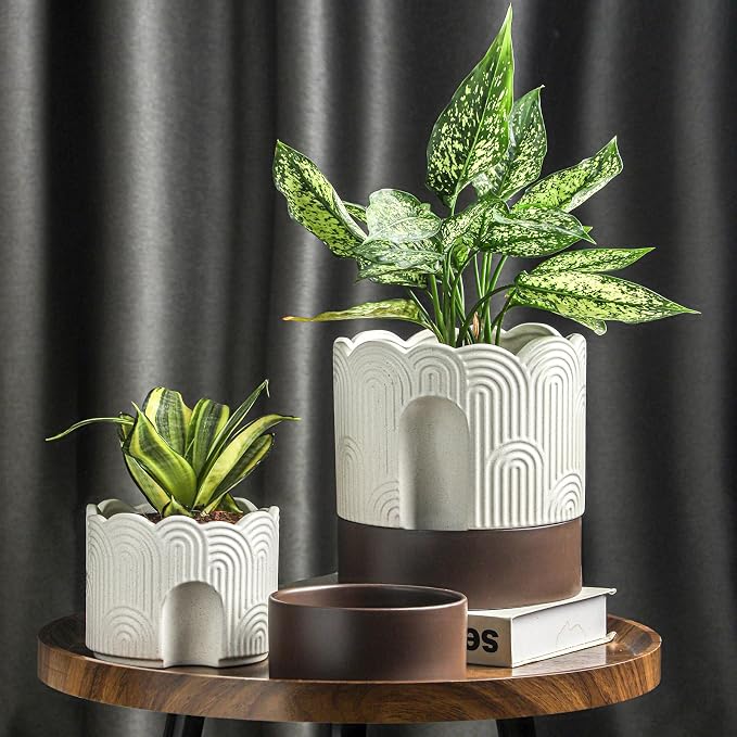 Nihow Self Watering Plant Pot: 6 Inch Ceramic Planter - Image 6
