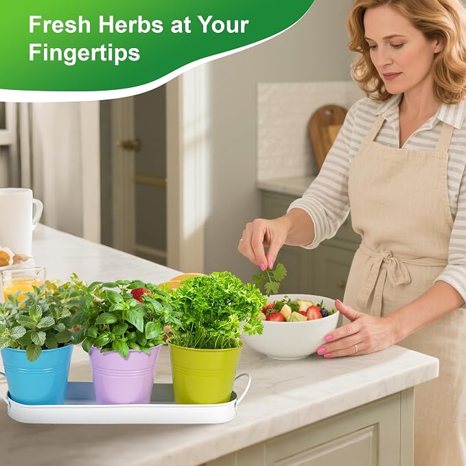 Herb Garden Planter Indoor Kit – 6 Metal Pots - Image 2