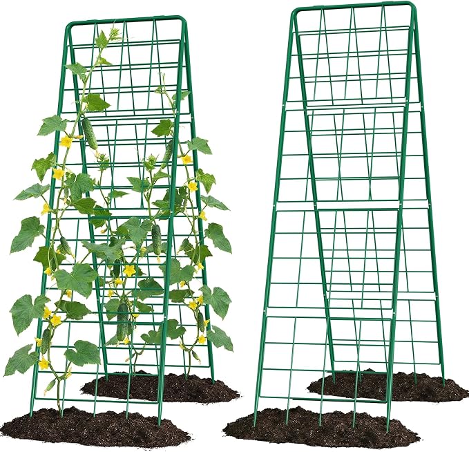 2 Pack Cucumber Trellis, Climbing Plants and Flowers by UrGROWA