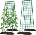 2 Pack Cucumber Trellis, Climbing Plants and Flowers by UrGROWA