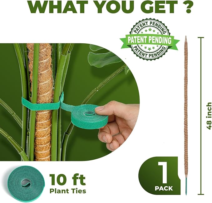 48 Inch Bendable Moss Pole Monstera Plant Support - Image 2