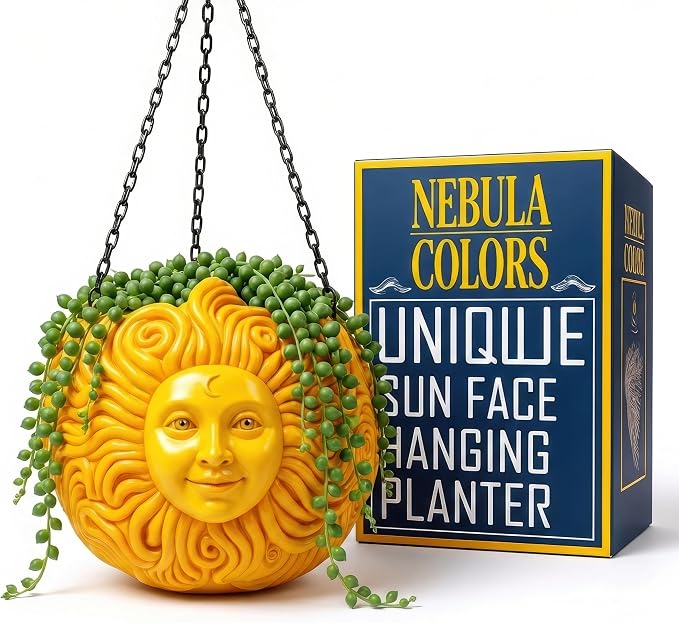 Fun & Unique Sun Face Hanging Planter Quirky Celestial Decor by NebulaColors