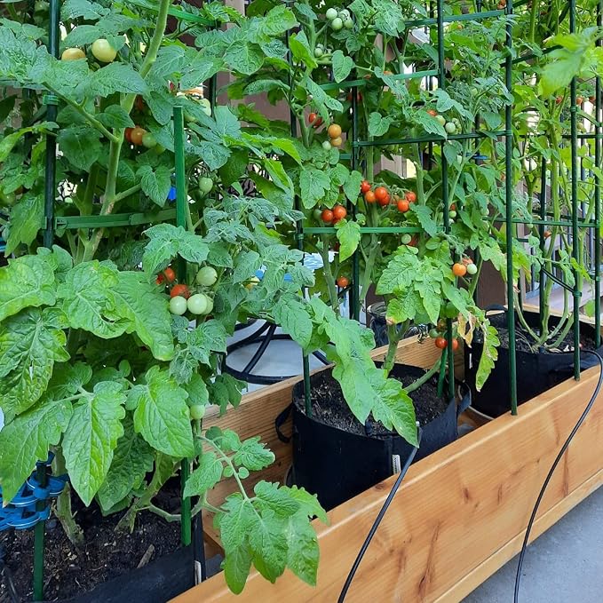 Garden Plant Stakes 48 Inch 4Ft Steel Plant Stick Support, 25 Pack Tomato Stakes - Image 2