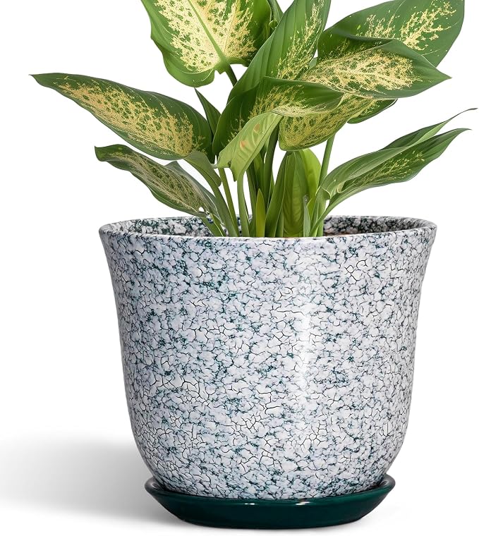 5.6 Inch Plant Pot by SUNPOTFOR