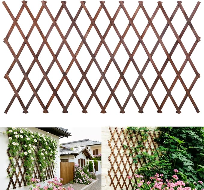 Expandable Garden Trellis by Bounmer