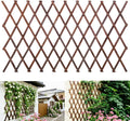 Expandable Garden Trellis by Bounmer