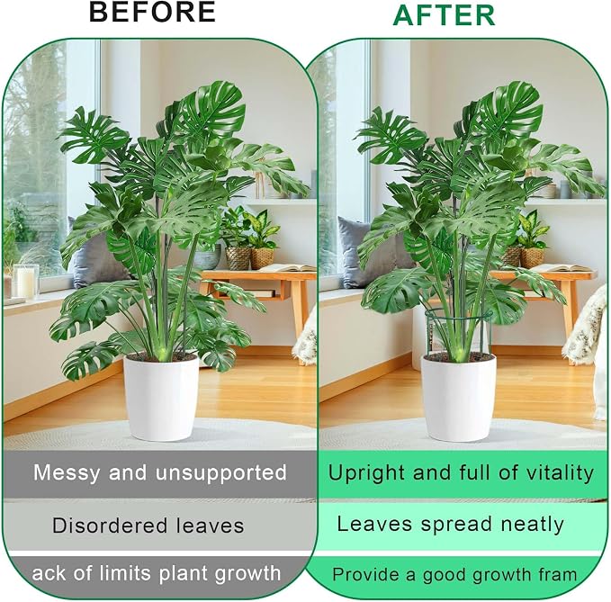 HiGift 3 Pack Peony Cages Support Stakes Ring - Image 7