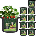 T4U 5 Gallon Grow Bags, Upgrade Grow Bags by T4U