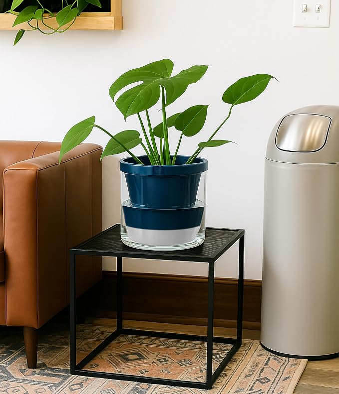 D'vine Dev 8 Inch Design Self Watering Planter - Image 6