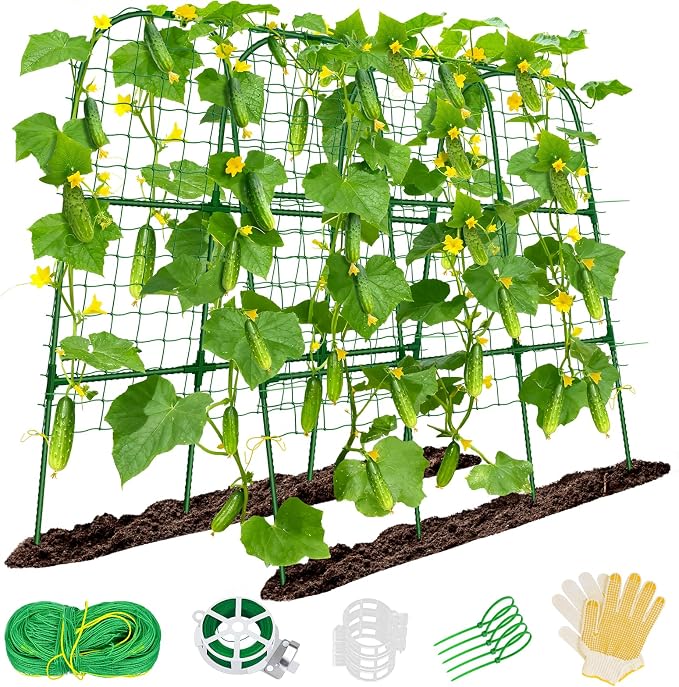 Cucumber Trellis for Raised Bed, Metal Arch Plant Support, Vegetables Trellis by Sunwinx