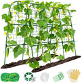 Cucumber Trellis for Raised Bed, Metal Arch Plant Support, Vegetables Trellis by Sunwinx