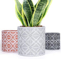 Plant Pots, Set of Indoor Plant pots, Plastic Planter by LOKEISNA