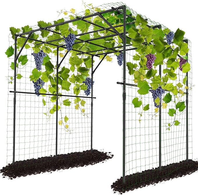 DoCred Tall Garden Arch Trellis by DoCred