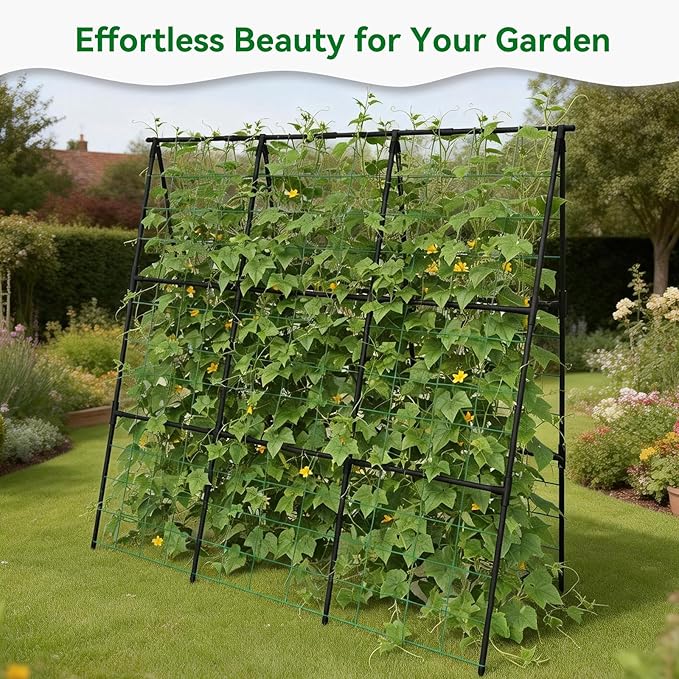 Cucumber Trellis - Image 7
