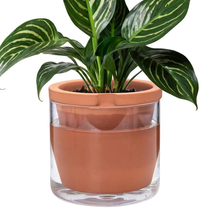 D'vine Dev 8 Inch Design Self Watering Pot by DvineDevPlanterPotsandStand