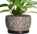 SQOWL Ceramic Planter by SQOWL