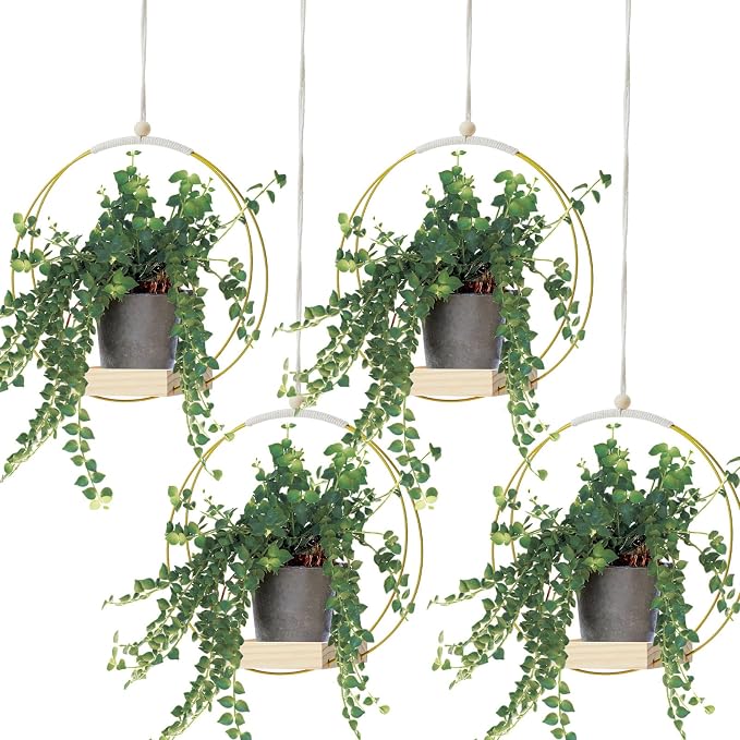 Geelin 4 Pack Plant Hanger by Geelin