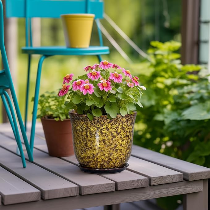 Ceramic Plant Pots - Image 4