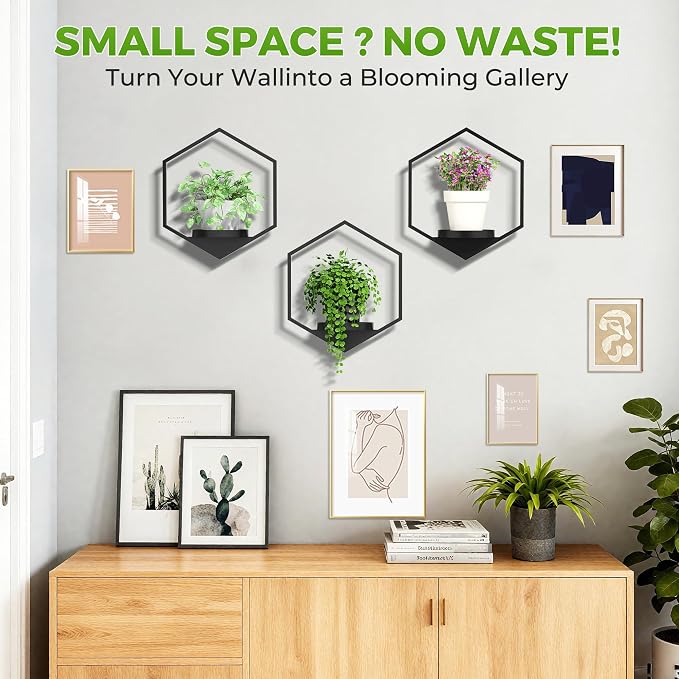 Wall Planters for Indoor Plants, Plant Frames Wall Decor Living Room Plant - Image 6