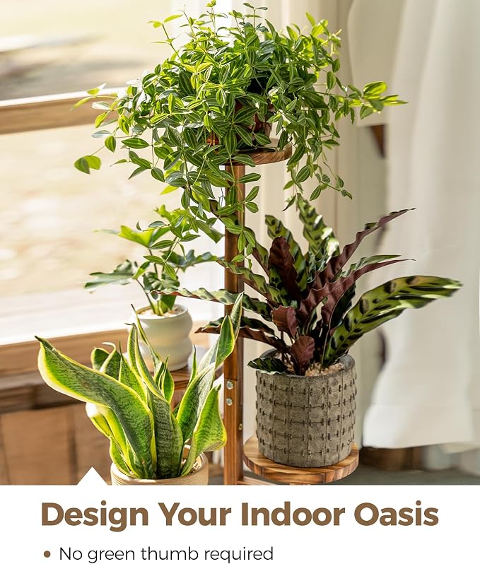 Bamworld Plant Stand Indoor Plant Shelf 4 Tier Wood Plant Stand - Image 3