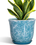 8 Inch Plant Pot by SUNPOTFOR