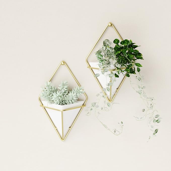 Umbra Trigg Hanging Planter Vase Wall Decor, Faux Plants, and More - Image 10