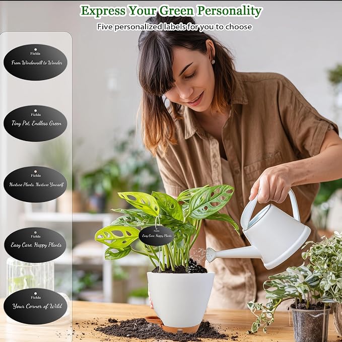 6 Inch Self Watering Pots for Indoor Plants – Small Plastic Planters - Image 3