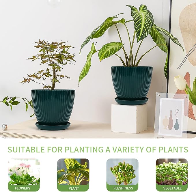 Plant Pots Indoor with Saucers & Drainage - Image 3
