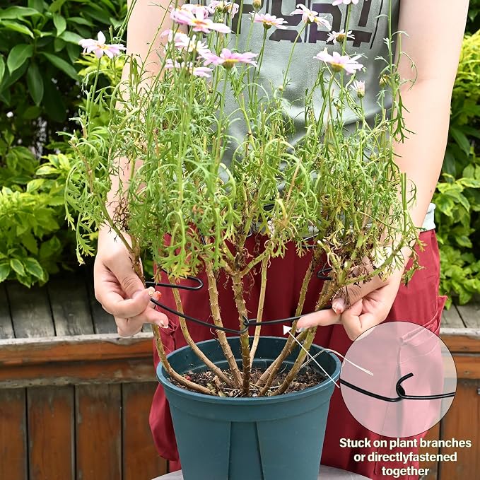 5PCS Monstera Plant Stem Support - Image 4