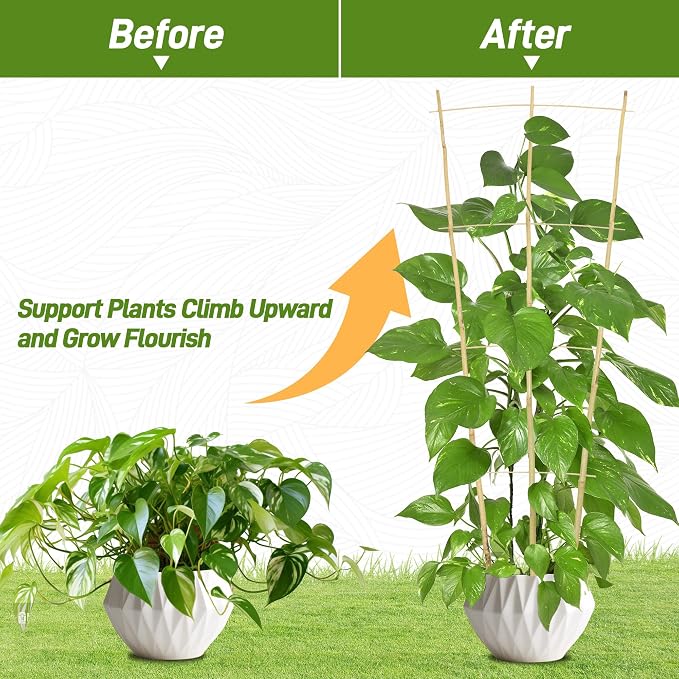 Avalution 10 Pack Bamboo Trellis - Image 4