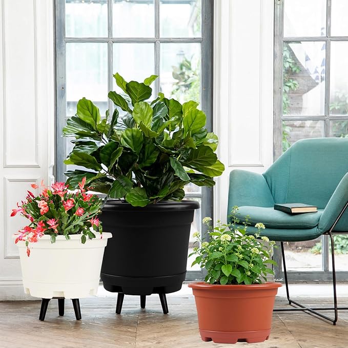 5 Pack 8.5 inch Plant Pot, Outdoor Flower Pots, Plastic pots - Image 7