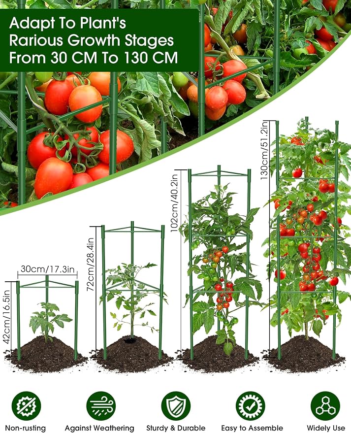 Tomato Cage for Garden, 6 Pack Tomato Trellis for Raised Garden Bed Height - Image 2