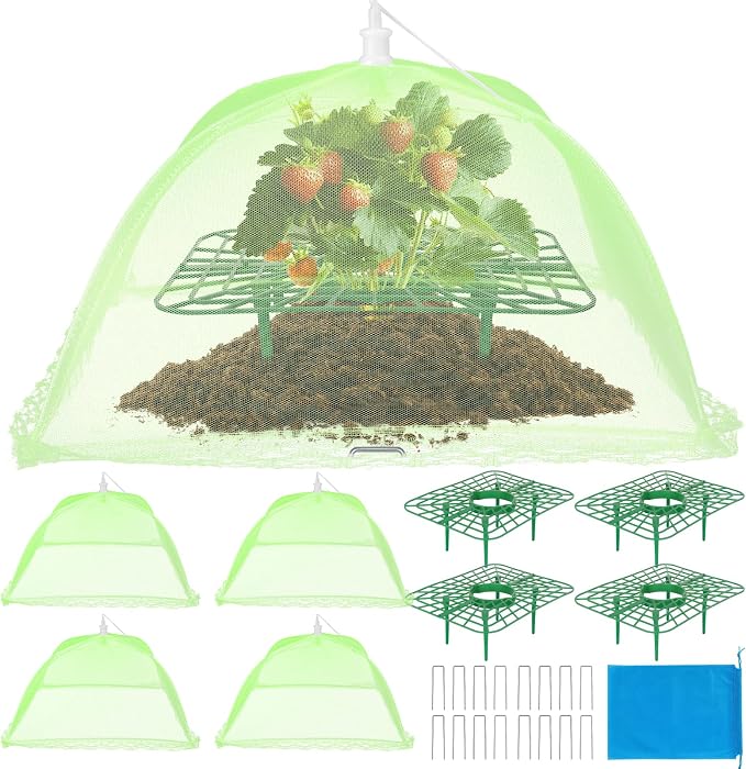 6 Sets Strawberry Plant Support by Unknown