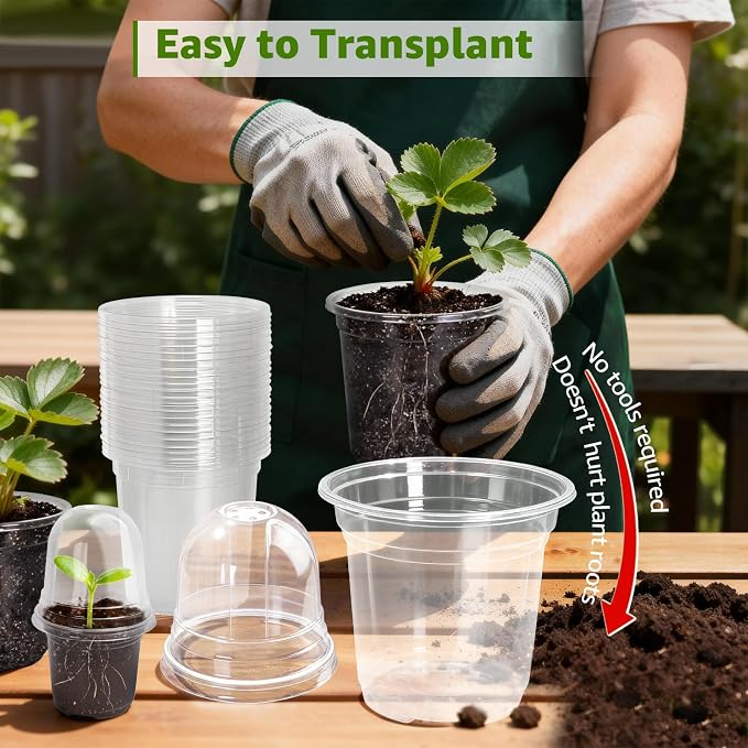 MIXC Clear Nursery Pots with Humidity Domes, 5/4/3.5 Inch Reinforced - Image 6