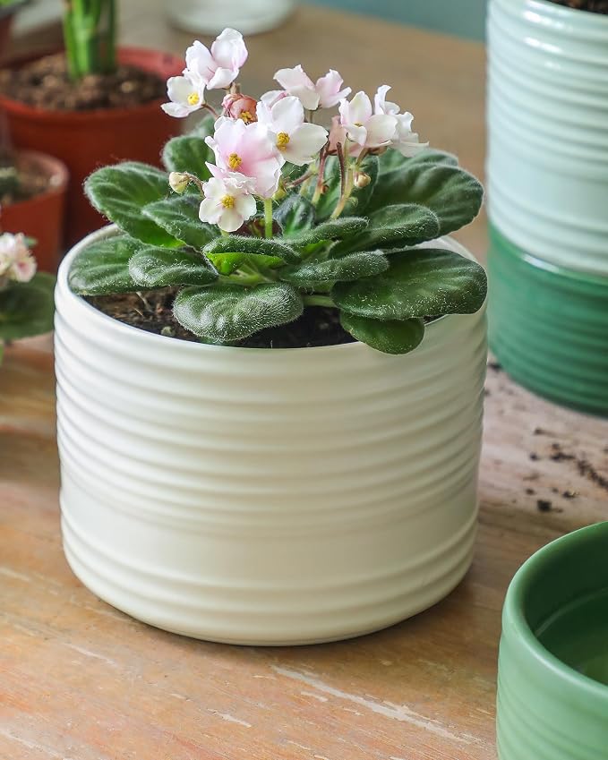 Self Watering Pots for Indoor Plants, 6 Inch Ceramic Self Watering Plant Pot - Image 7