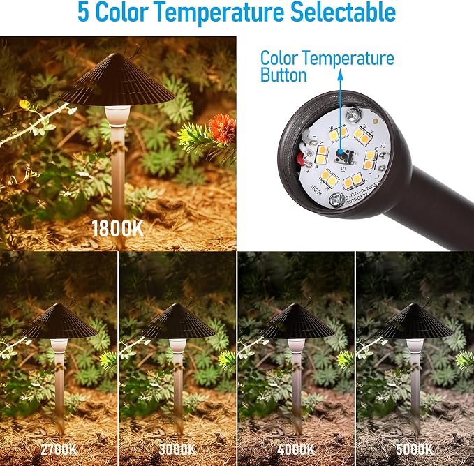 LEONLITE 5CCT Low Voltage Landscape Lights, 12-24V AC/DC, Pathway Lighting Wired - Image 3