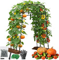 Garden Arch Trellis for Climbing Plants, Metal Cucumber & Tomato Cage, by MQHUAYU