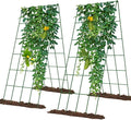 Cucumber Trellis 2 Pack, Foldable A-Frame Garden Trellis by UrGROWA