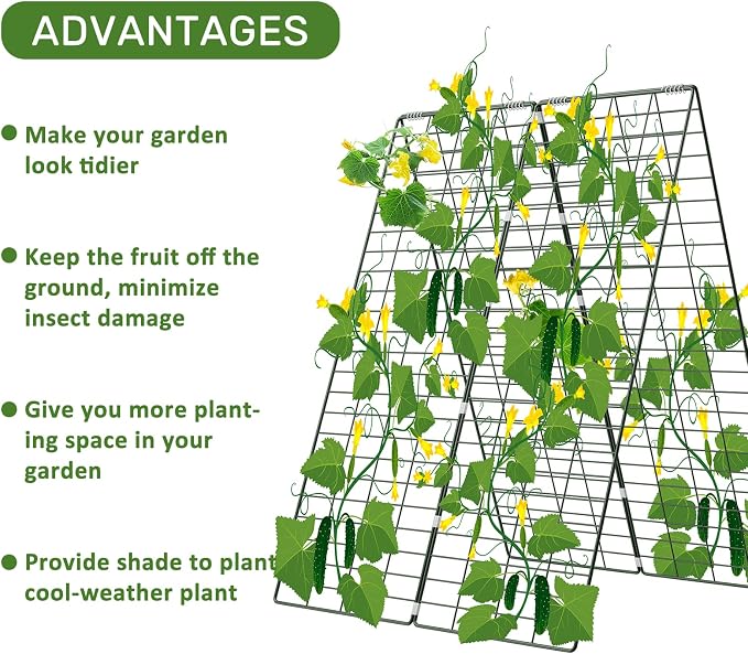 AGTEK 34" x 48" Foldable Cucumber Trellis - Image 3