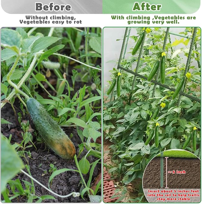 Cucumber Trellis for Raised Bed, Large Size Garden Arch Trellis for Climbing - Image 4