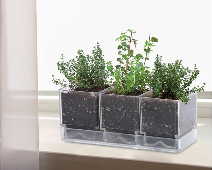 D'vine Dev Herb Garden Planter Set, Plastic Plant Pots - Image 2