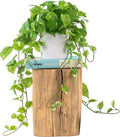 ROVALA Silk Plants for Home Decor Indoor in Pot Realistic Artificial Plants by ROVALA