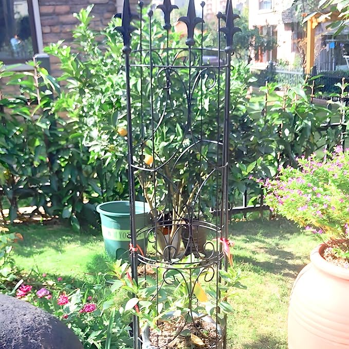 Garden Trellis 2 Pack 72'' H x 12'' W Metal Plant Trellis Indoor/Outdoor Metal - Image 5
